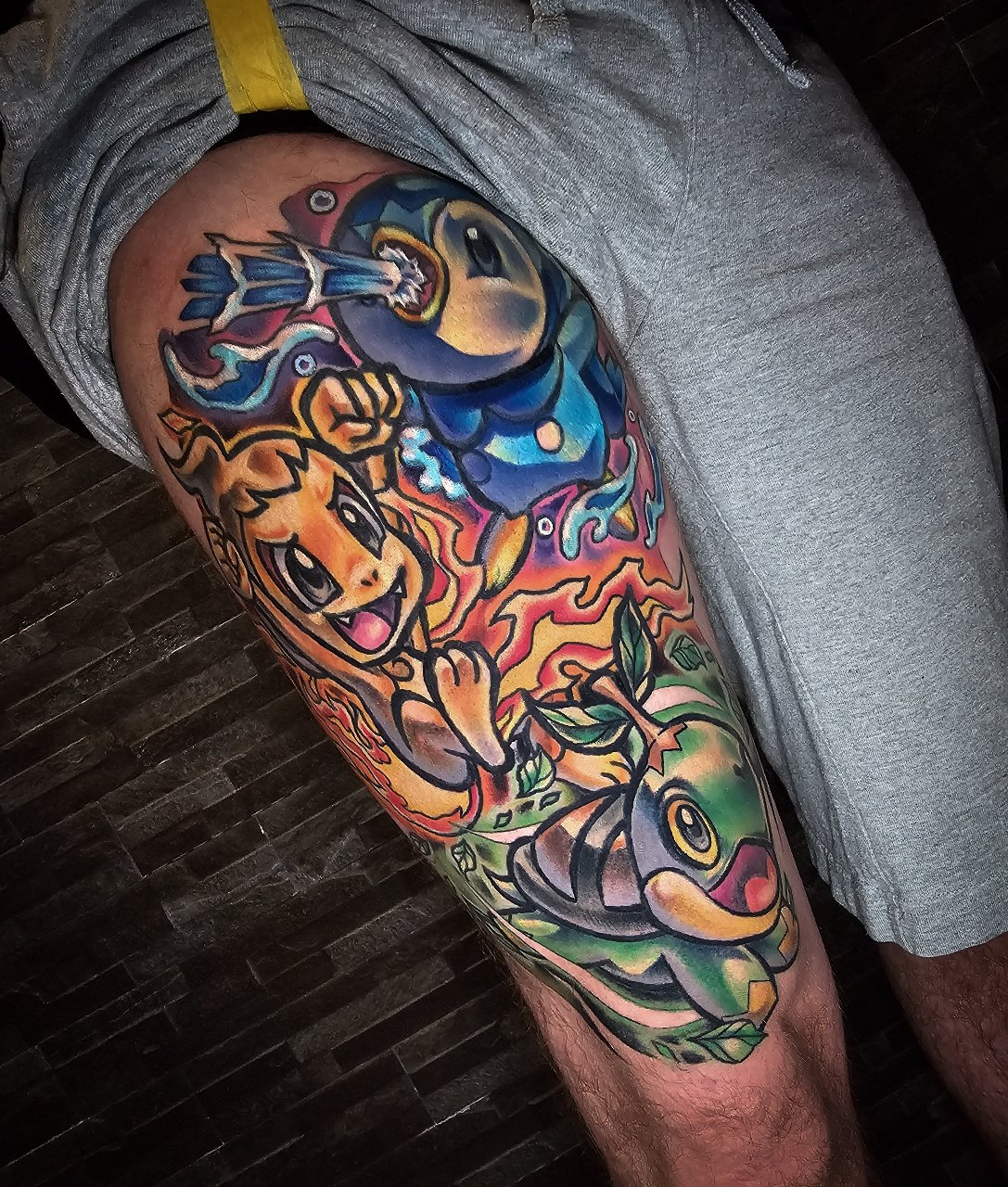 Gen 4 Starters pokemon